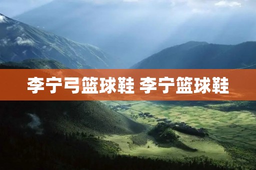李宁弓篮球鞋 李宁篮球鞋