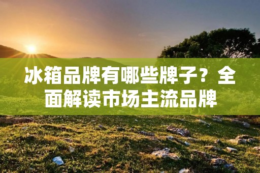 冰箱品牌有哪些牌子？全面解读市场主流品牌