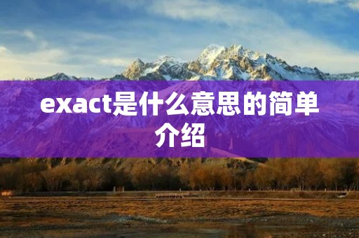 exact是什么意思的简单介绍
