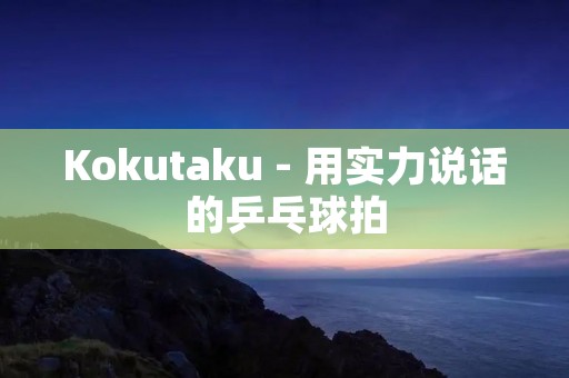 Kokutaku - 用实力说话的乒乓球拍