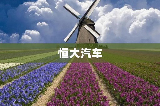 恒大汽车:中国汽车行业的新贵 恒大汽车:中国汽车行业的新贵