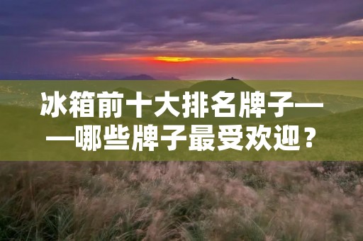 冰箱前十大排名牌子——哪些牌子最受欢迎？