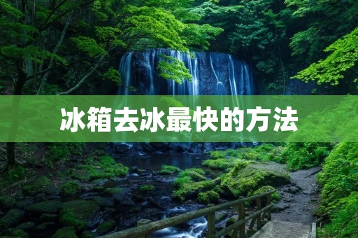 冰箱去冰最快的方法 冰箱去冰最快的方法