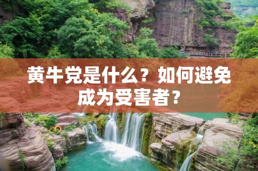 黄牛党是什么？如何避免成为受害者？