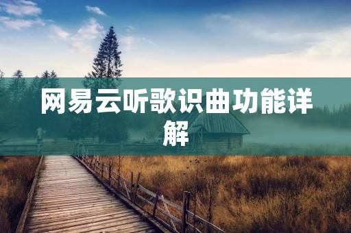 网易云听歌识曲功能详解 网易云听歌识曲功能详解