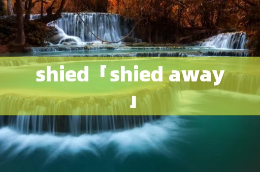 shied「shied away」