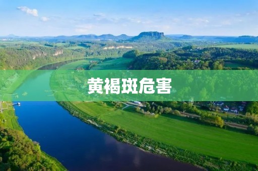 黄褐斑危害:如何有效预防和治疗? 黄褐斑危害:如何有效预防和治疗?