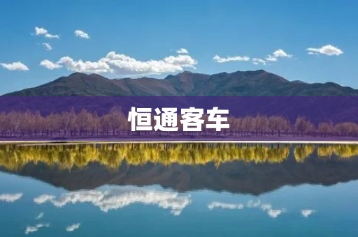 恒通客车:领先行业的公路客运解决方案提供商 恒通客车:领先行业的公路客运解决方案提供商