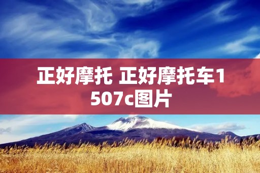 正好摩托 正好摩托车1507c图片