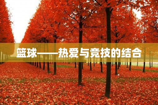 篮球——热爱与竞技的结合 篮球——热爱与竞技的结合