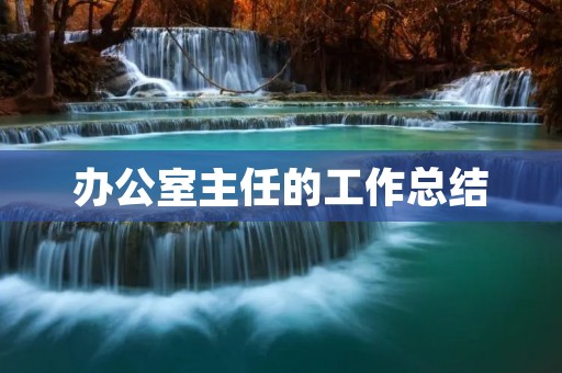 办公室主任的工作总结