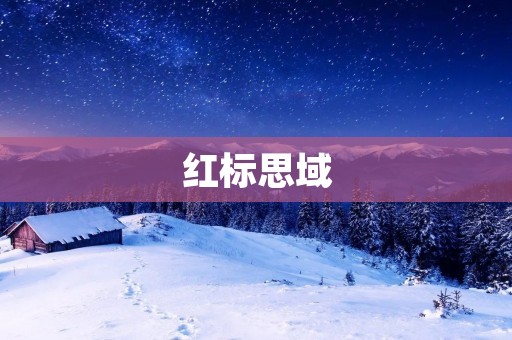 红标思域:不一样的驾驶体验 红标思域:不一样的驾驶体验