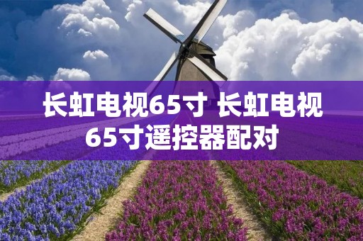 长虹电视65寸 长虹电视65寸遥控器配对 长虹电视65寸 长虹电视65寸遥控器配对
