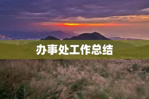 办事处工作总结:提升效率,创新思维