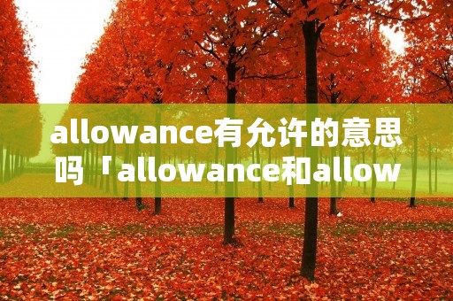 allowance有允许的意思吗「allowance和allow」