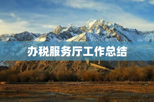 办税服务厅工作总结