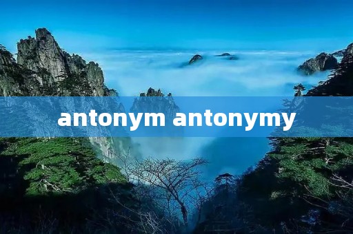 antonym antonymy