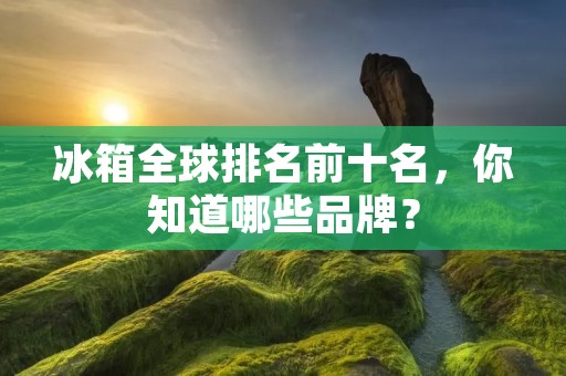 冰箱全球排名前十名，你知道哪些品牌？