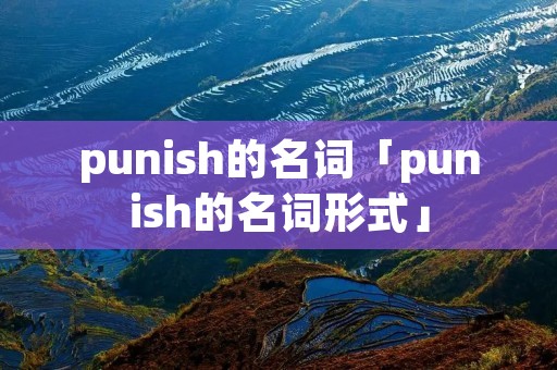 punish的名词「punish的名词形式」