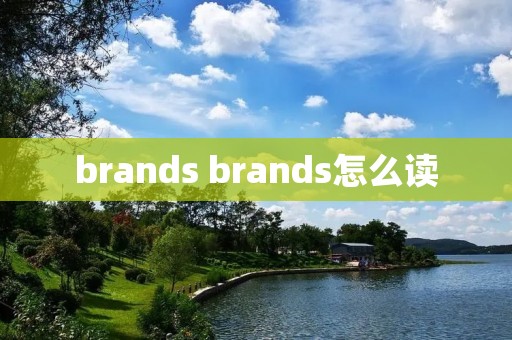 brands brands怎么读