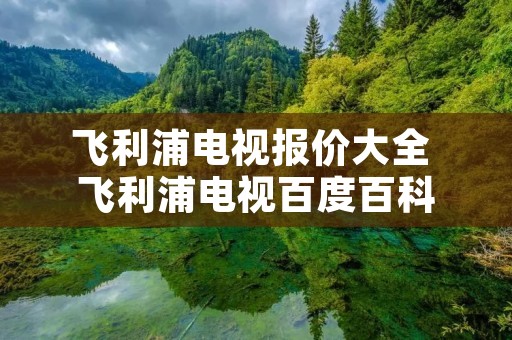 飞利浦电视报价大全 飞利浦电视百度百科