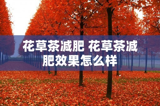 花草茶减肥 花草茶减肥效果怎么样