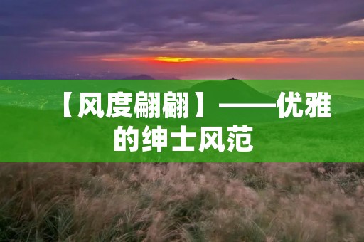 【风度翩翩】——优雅的绅士风范
