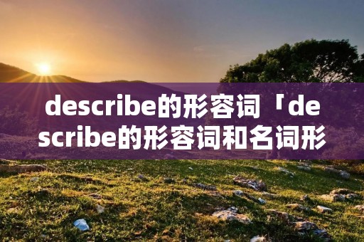 describe的形容词「describe的形容词和名词形式」