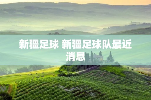 新疆足球 新疆足球队最近消息 新疆足球 新疆足球队最近消息