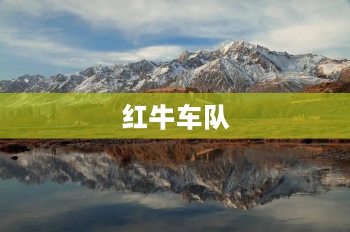 红牛车队:速度与**的完美结合 红牛车队:速度与**的完美结合