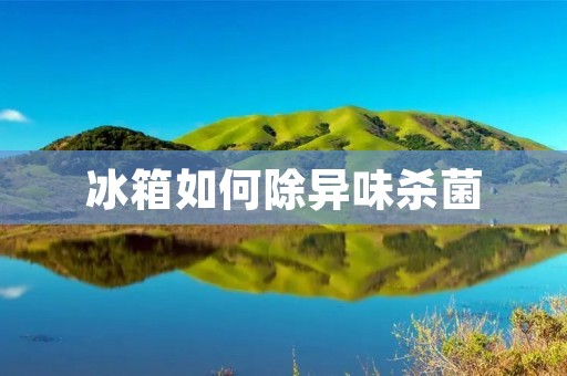 冰箱如何除异味杀菌 冰箱如何除异味杀菌