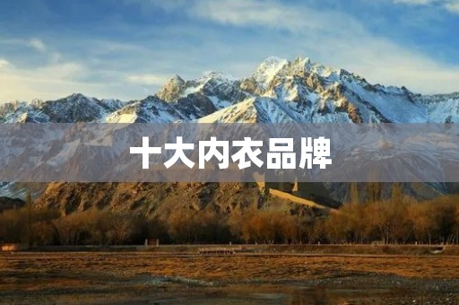 十大内衣品牌:穿出自信,彰显魅力