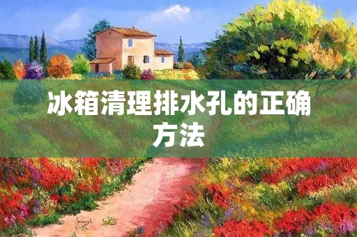 冰箱清理排水孔的正确方法 冰箱清理排水孔的正确方法