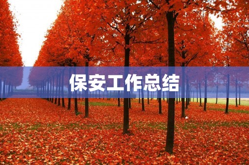 保安工作总结:从细节做起,确保安全稳定