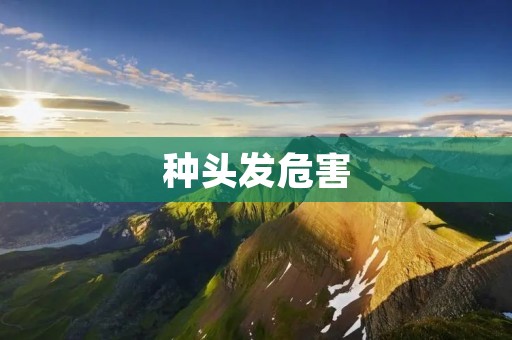 种头发危害：头发种植手术的风险与注意事项