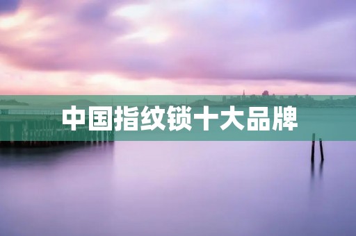 中国指纹锁十大品牌:打造安全无忧的智能家居