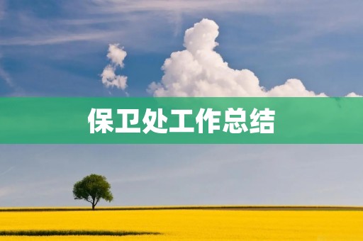 保卫处工作总结