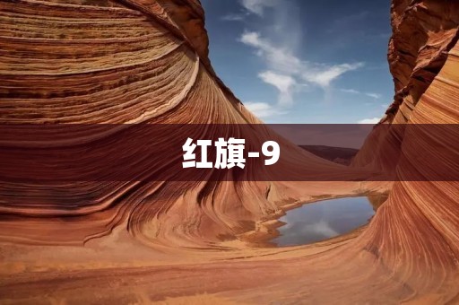 红旗-9：中国的新一代防空导弹系统