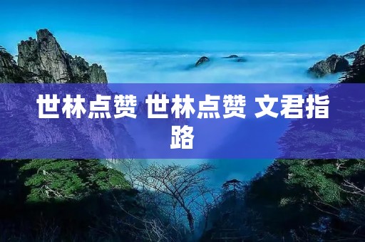 世林点赞 世林点赞 文君指路 世林点赞 世林点赞 文君指路