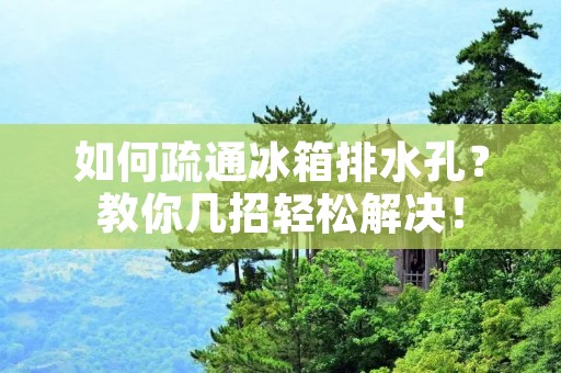如何疏通冰箱排水孔？教你几招轻松解决！