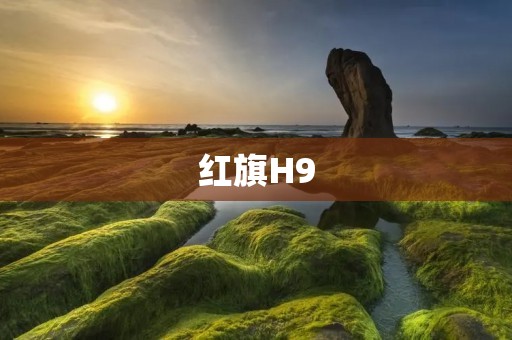 红旗H9：中国豪华轿车的崛起