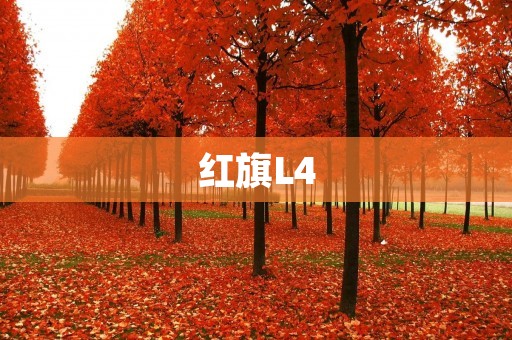 红旗L4:领略中国品牌的卓越实力 红旗L4:领略中国品牌的卓越实力
