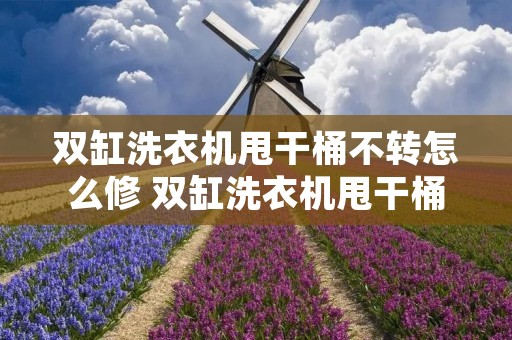 双缸洗衣机甩干桶不转怎么修 双缸洗衣机甩干桶嗡嗡响转不起来