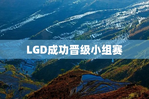 LGD成功晋级小组赛：奋斗不止，实力护航