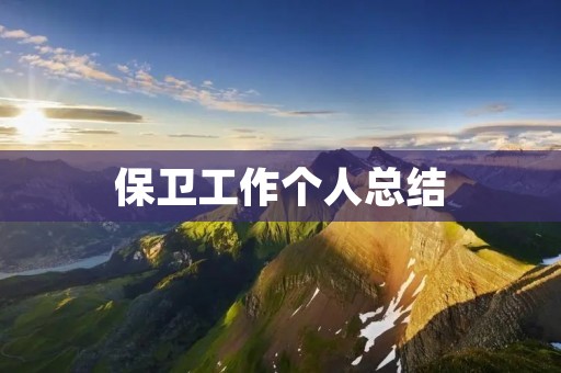 保卫工作个人总结