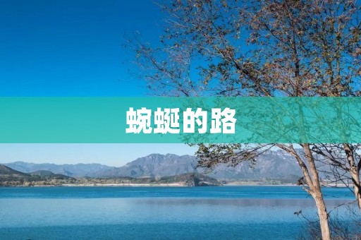 蜿蜒的路:探讨路线规划与城市发展