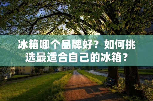 冰箱哪个品牌好？如何挑选最适合自己的冰箱？