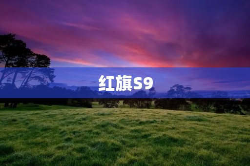 红旗S9:华丽转型的代表之作 红旗S9:华丽转型的代表之作