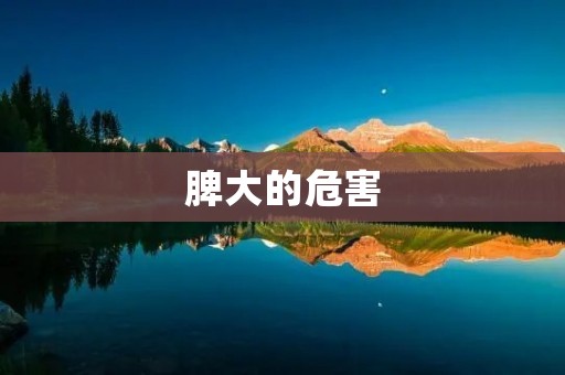 脾大的危害:预警身体健康隐患 脾大的危害:预警身体健康隐患