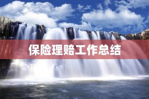 保险理赔工作总结